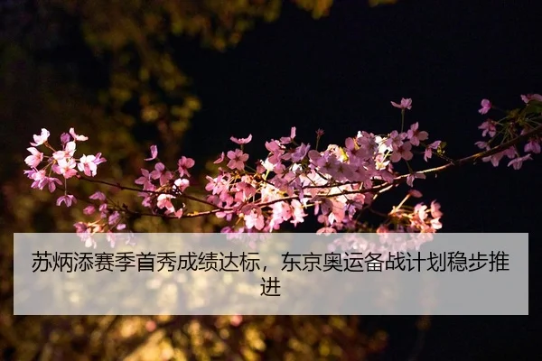 su-bing-tian-sai-ji-shou-xiu-cheng-ji-da-biao-dong-jing-ao-yun-bei-zhan-ji-hua-wen-bu-tui-jin-2-992.jpg