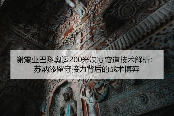 谢震业巴黎奥运200米决赛弯道技术解析：苏炳添留守接力背后的战术博弈