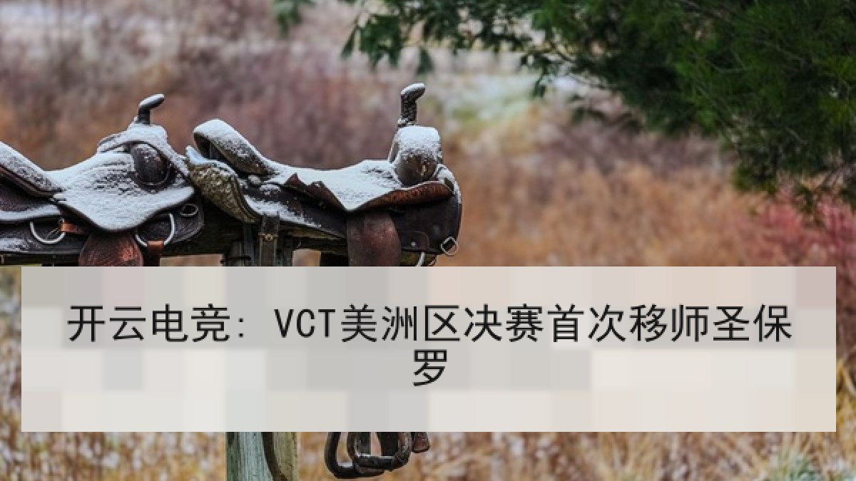开云电竞: VCT美洲区决赛首次移师圣保罗