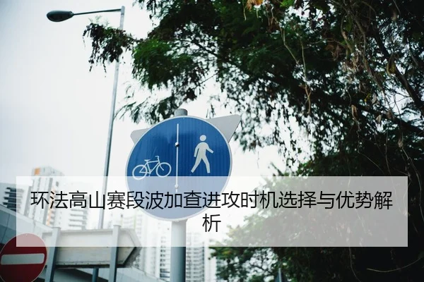 环法高山赛段波加查进攻时机选择与优势解析