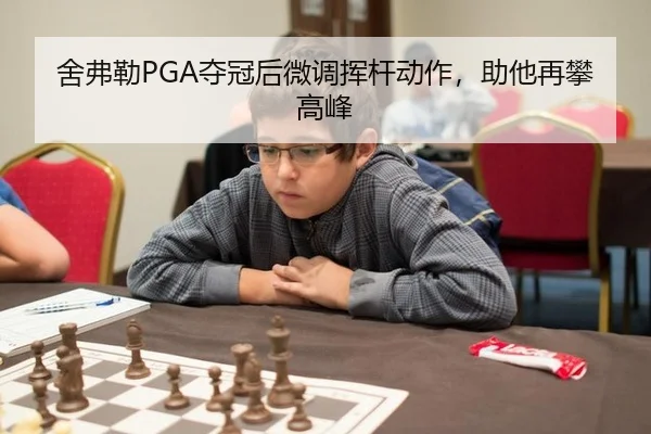 she-fu-lei-duo-guan-hou-wei-diao-hui-gan-dong-zuo-zhu-ta-zai-pan-gao-feng-2-643.jpg