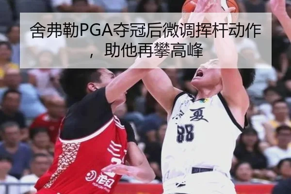 she-fu-lei-duo-guan-hou-wei-diao-hui-gan-dong-zuo-zhu-ta-zai-pan-gao-feng-3-238.jpg