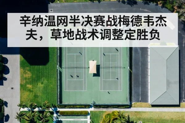 Medvedev grass court