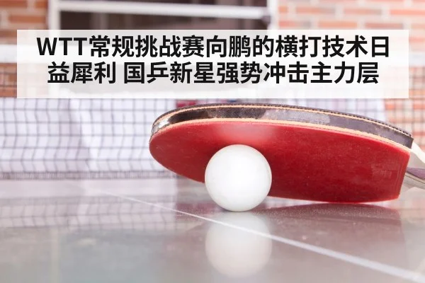 ping pong training